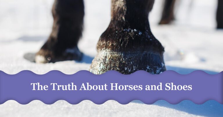 Are Shoes Bad For Horses?