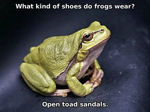 What Shoes Do Frogs Wear?